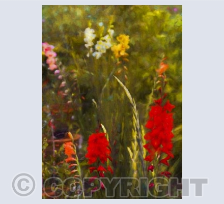 Beside the potting shed