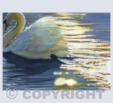 Where grace has been