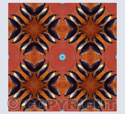 March of the penguins