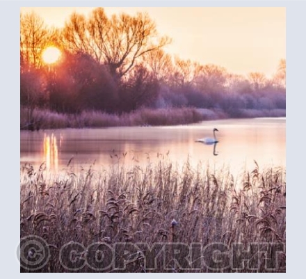 GL_03 Frosty Sunrise