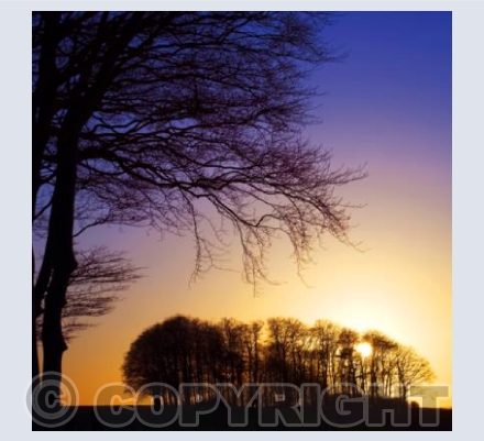 WL_01 Sunset Blues