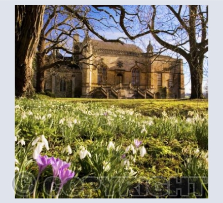 WL_22 Spring at the Abbey