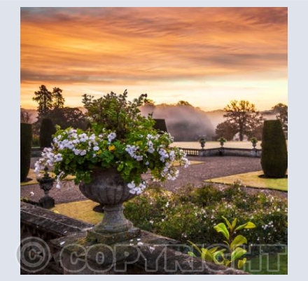 WG_18 Dawn on the Terrace