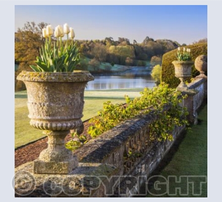 WG_20 Down Towards the Lake