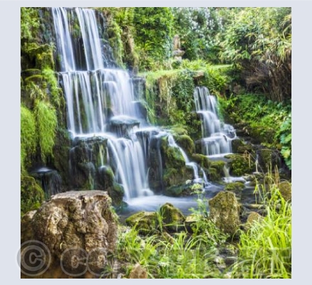 WG_24 The Cascade