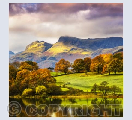 LD_04 Before the Storm