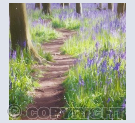 ART_04  The Woods in Spring