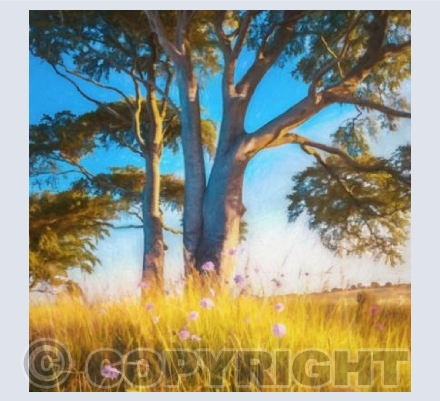 ART_05  Summer on the Hill