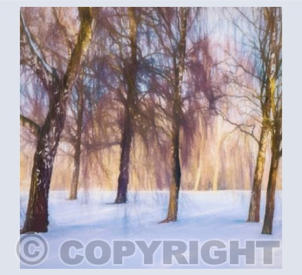 ART_03 Sentinels in the Snow