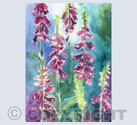 Digitalis 