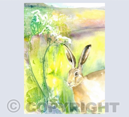 Beacon Hare