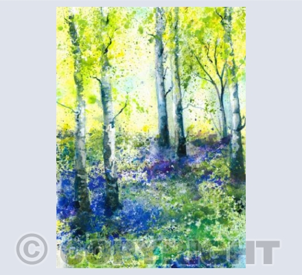 Dappled Wood