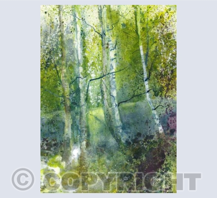  Silver Birch Glade