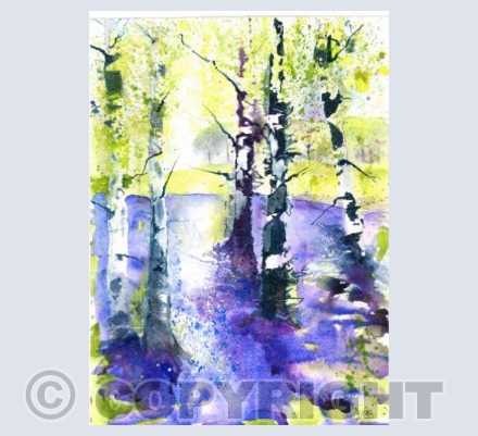 Bluebell Shimmer