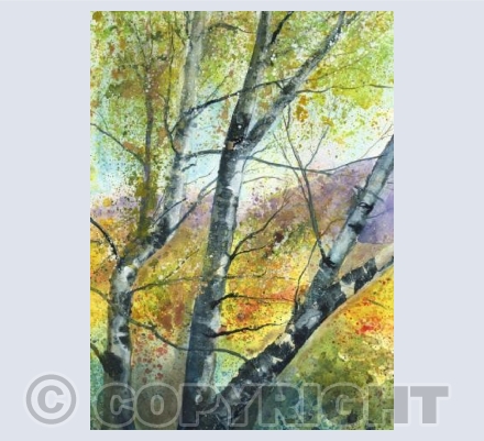 Autumn Afternoon 
