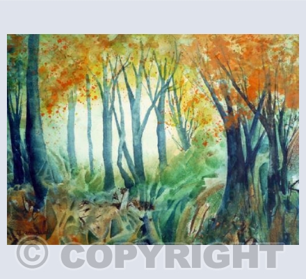 Enchanted forest