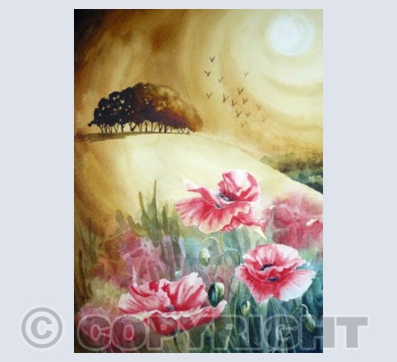 Harvest poppies