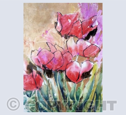 Poppy Fiesta
