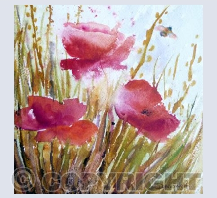 Bee-eautiful Poppies