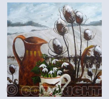 Robin & Teasels