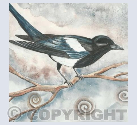 The Magpie