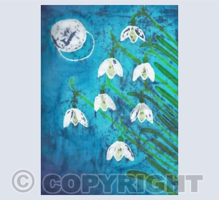 Snowdrops at Twilight