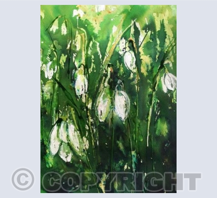 snowdrop card