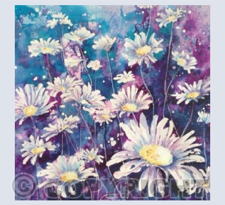 Night daisies