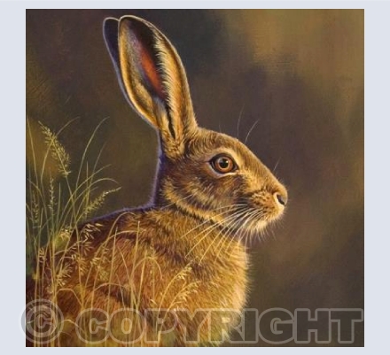 Golden Hare