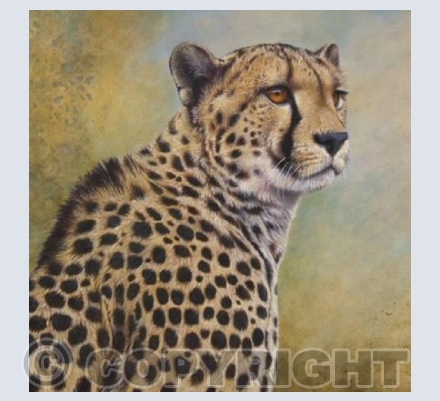 Kalahari