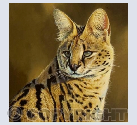Serval