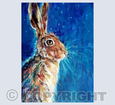 Starlight Hare
