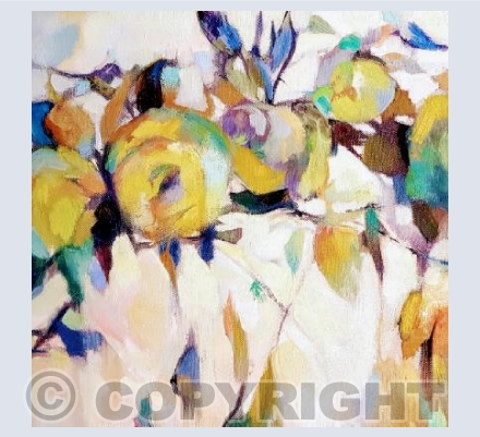Yellow Roses