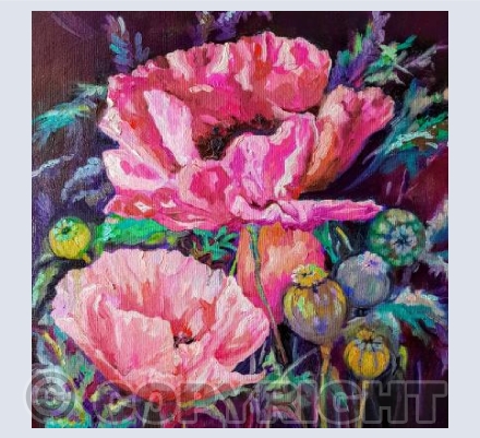 Pink Poppies