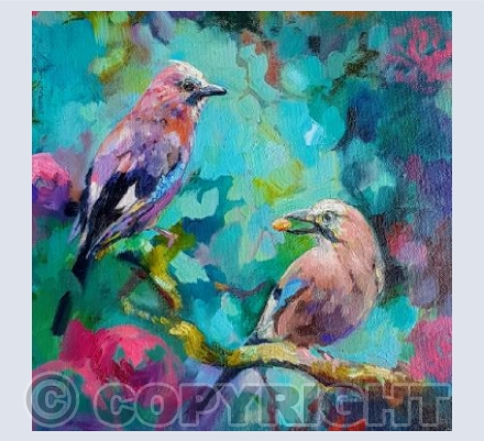 Eurasian Jays