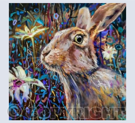 Daisy Hare