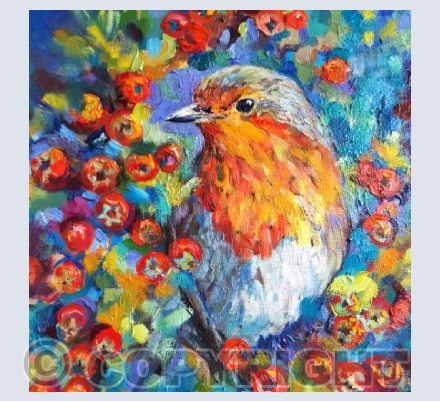 Hawthorn Robin
