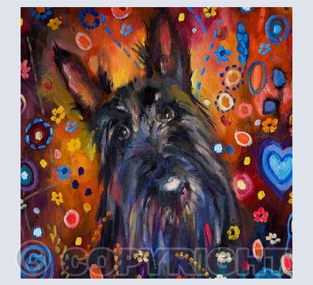 Scottie