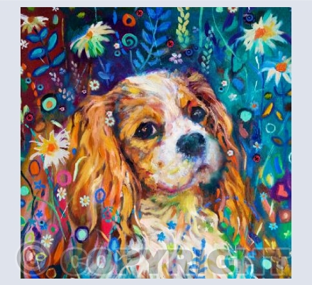 Cavalier Spaniel