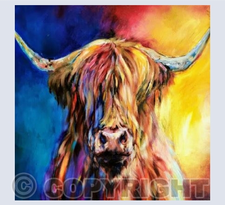 Highland Bull - Lewis