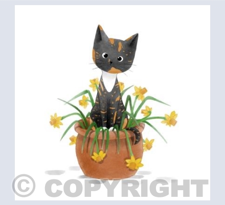 Shelly in Daffodils