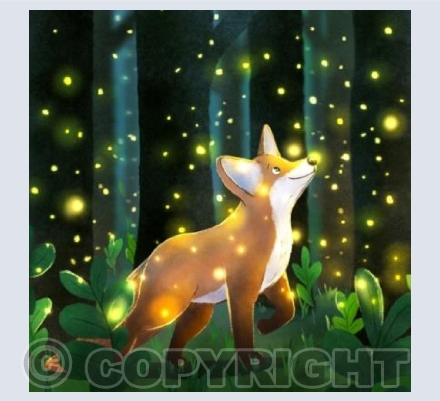 Fox and Fireflies