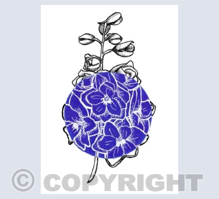 Delphinium Card
