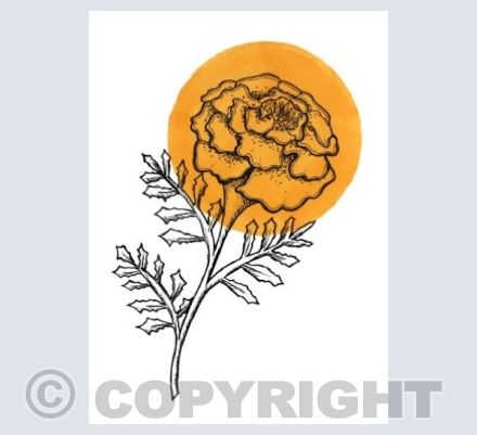 Marigold Card