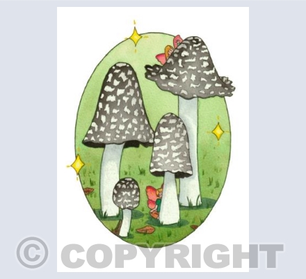 Magpie Inkcap