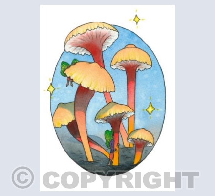 Hygrocybe Anomala