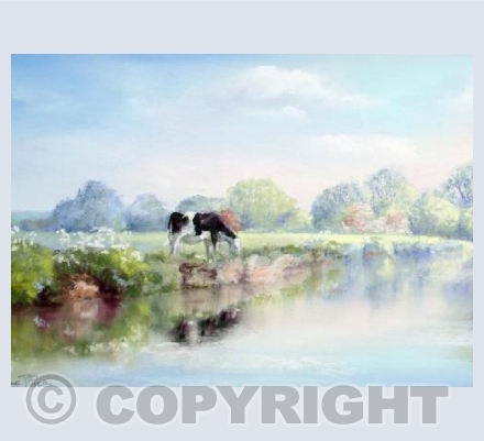 River Thames at Buscot