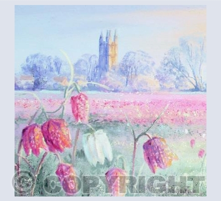 Fritillary Cricklade