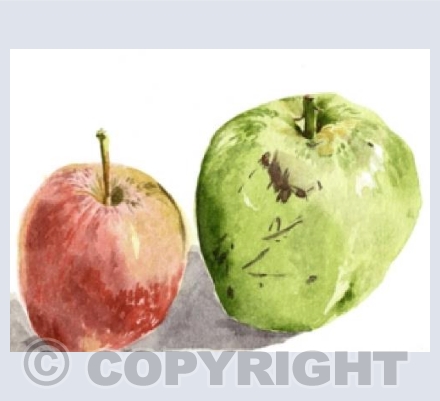 The orchard