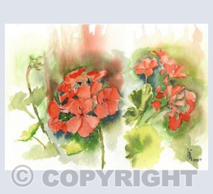 Geranium study